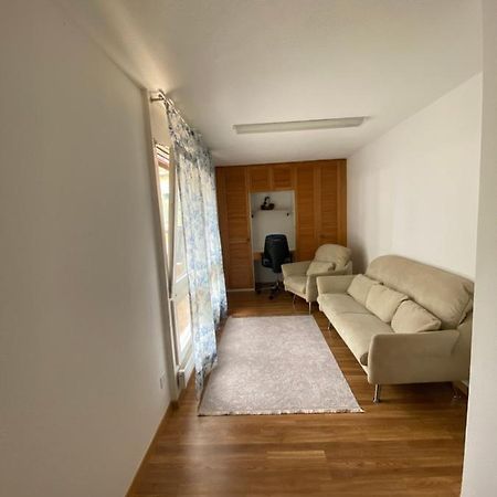 Get Cozy Family Flat Zuerich Apartment Екстериор снимка