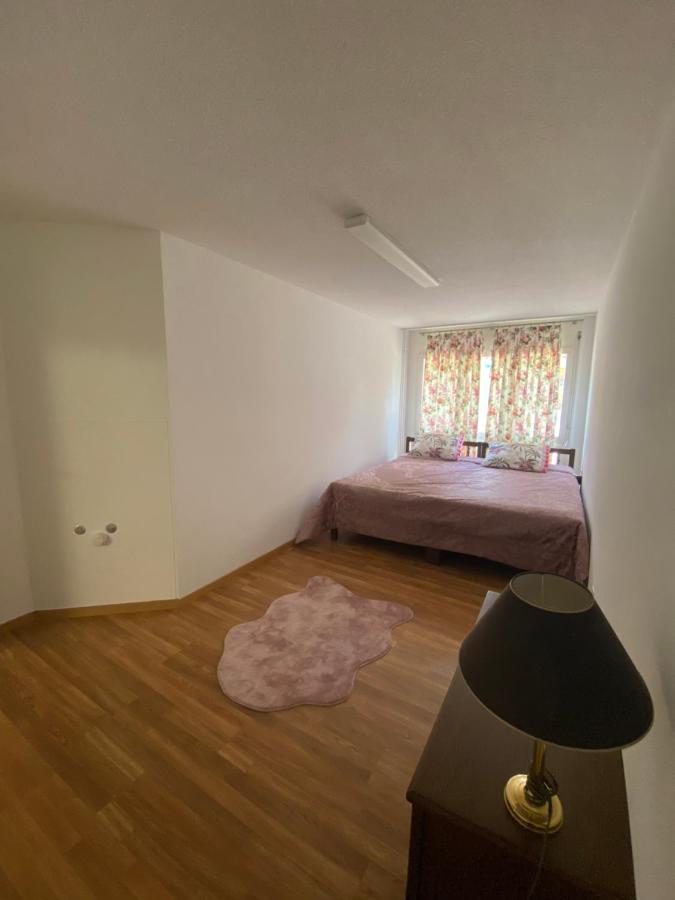 Get Cozy Family Flat Zuerich Apartment Екстериор снимка